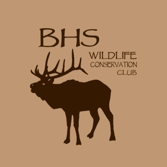 BHS Wildlife Club