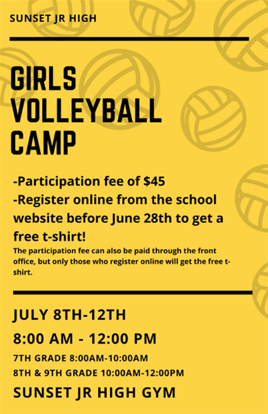 Volleyball Flyer