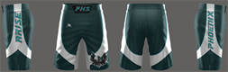 Fight Shorts